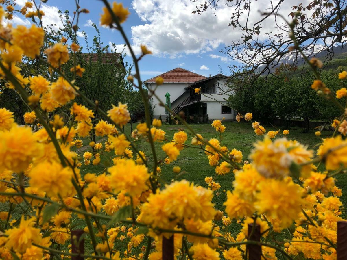 Vratnica Kitka Hostel - Guest House מראה חיצוני תמונה